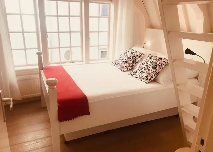 Little Tulip Gæstehus